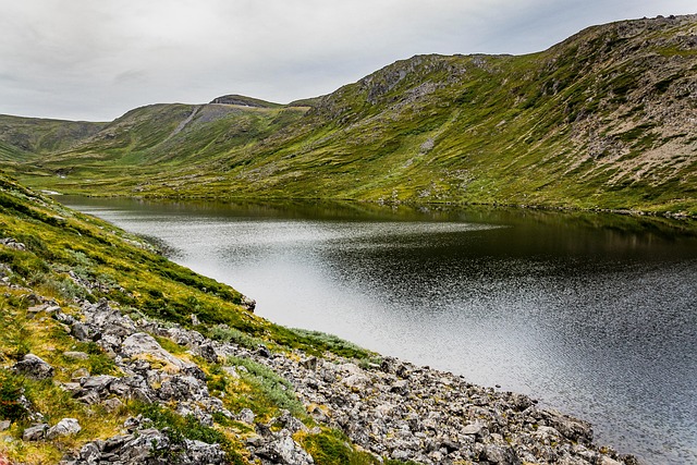 Miljøvenlig fliserens: Grønne alternativer til kemikalier